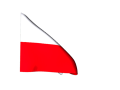 Powiewająca mała flaga Polski
